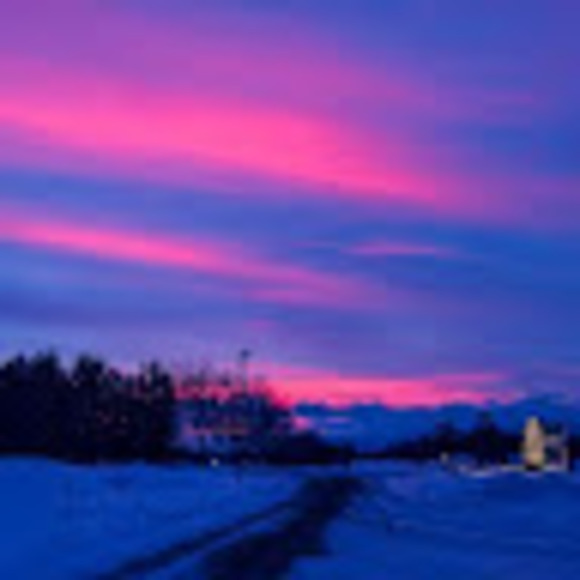 Meet your Posher, Andy - Picture 1 of 1